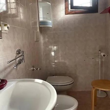 Apartment Viky *